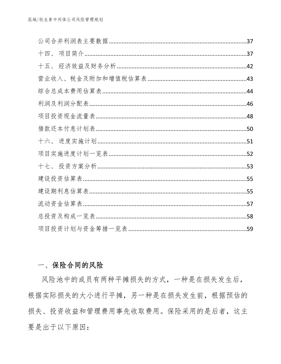 抗生素中间体公司风险管理规划_第3页