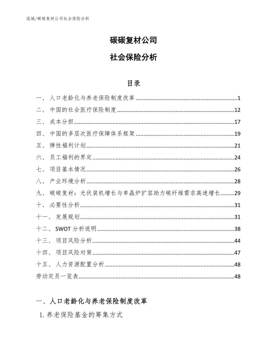 碳碳复材公司社会保险分析【范文】_第1页