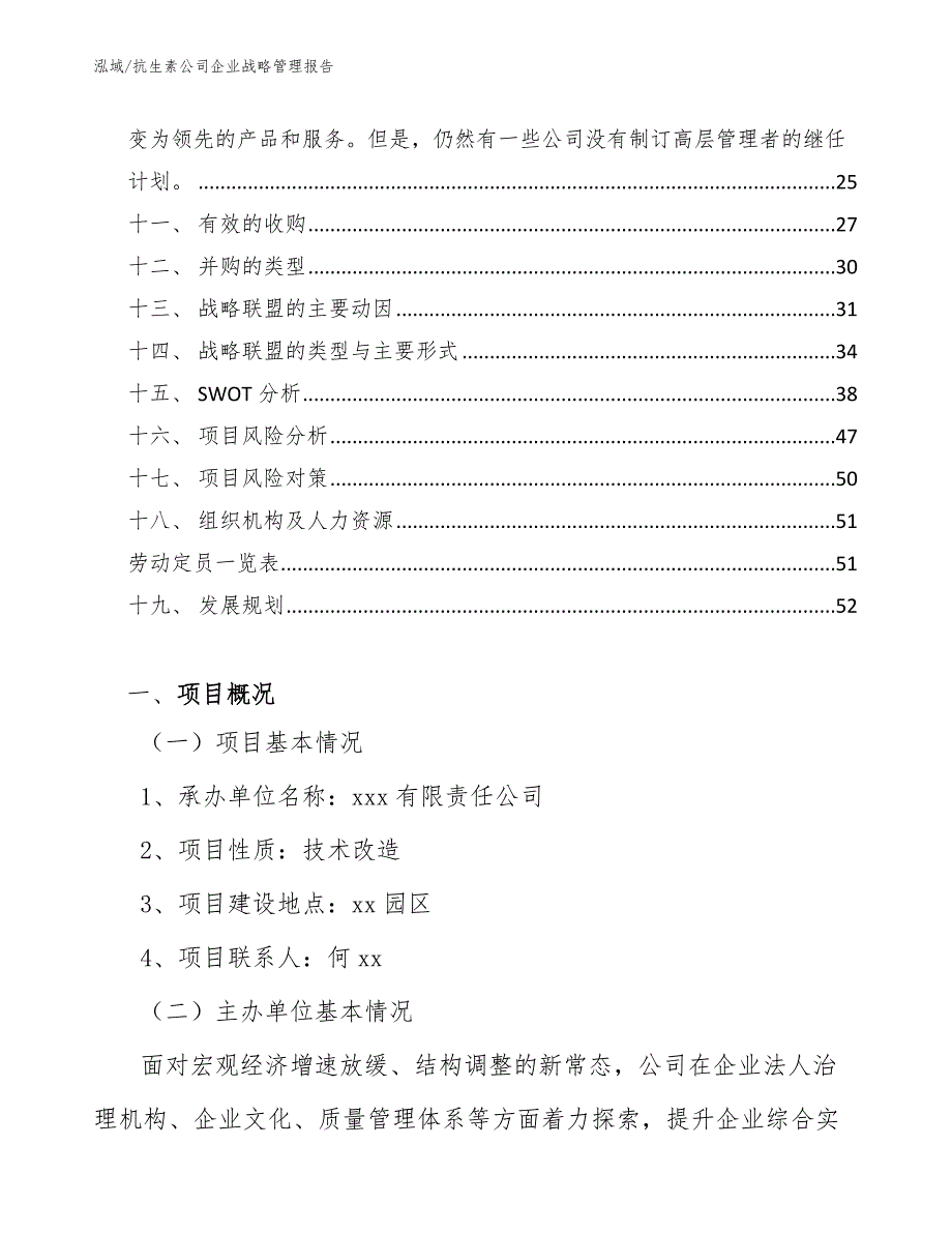 抗生素公司企业战略管理报告_参考_第2页