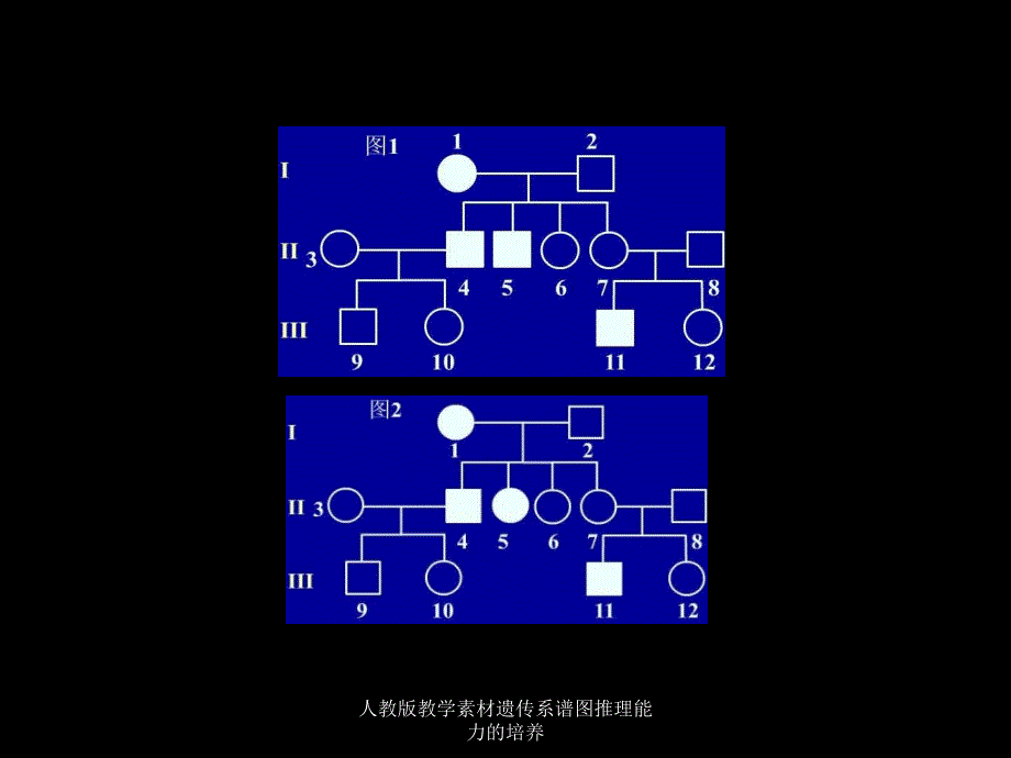 人教版教学素材遗传系谱图推理能力的培养课件_第3页
