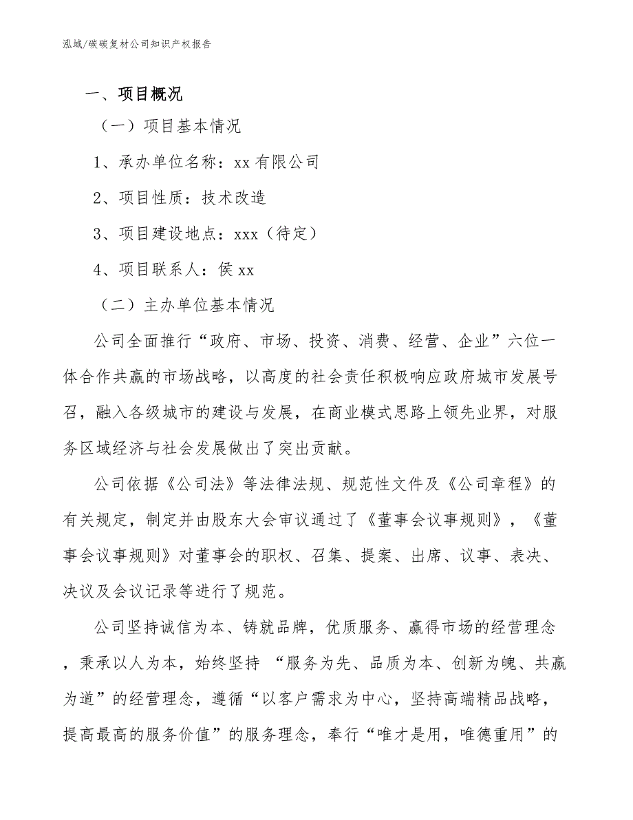 碳碳复材公司知识产权报告（参考）_第3页