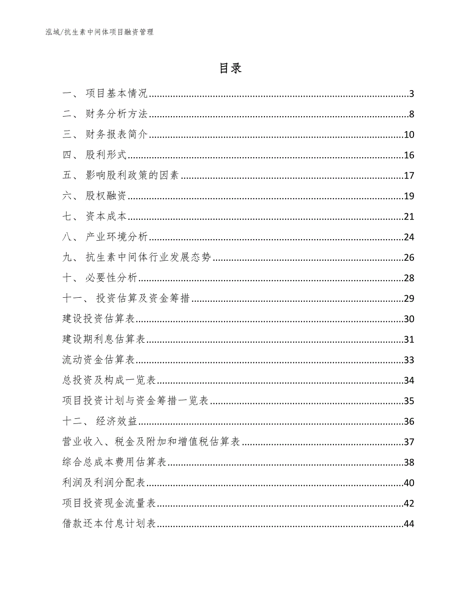 抗生素中间体项目融资管理_第2页