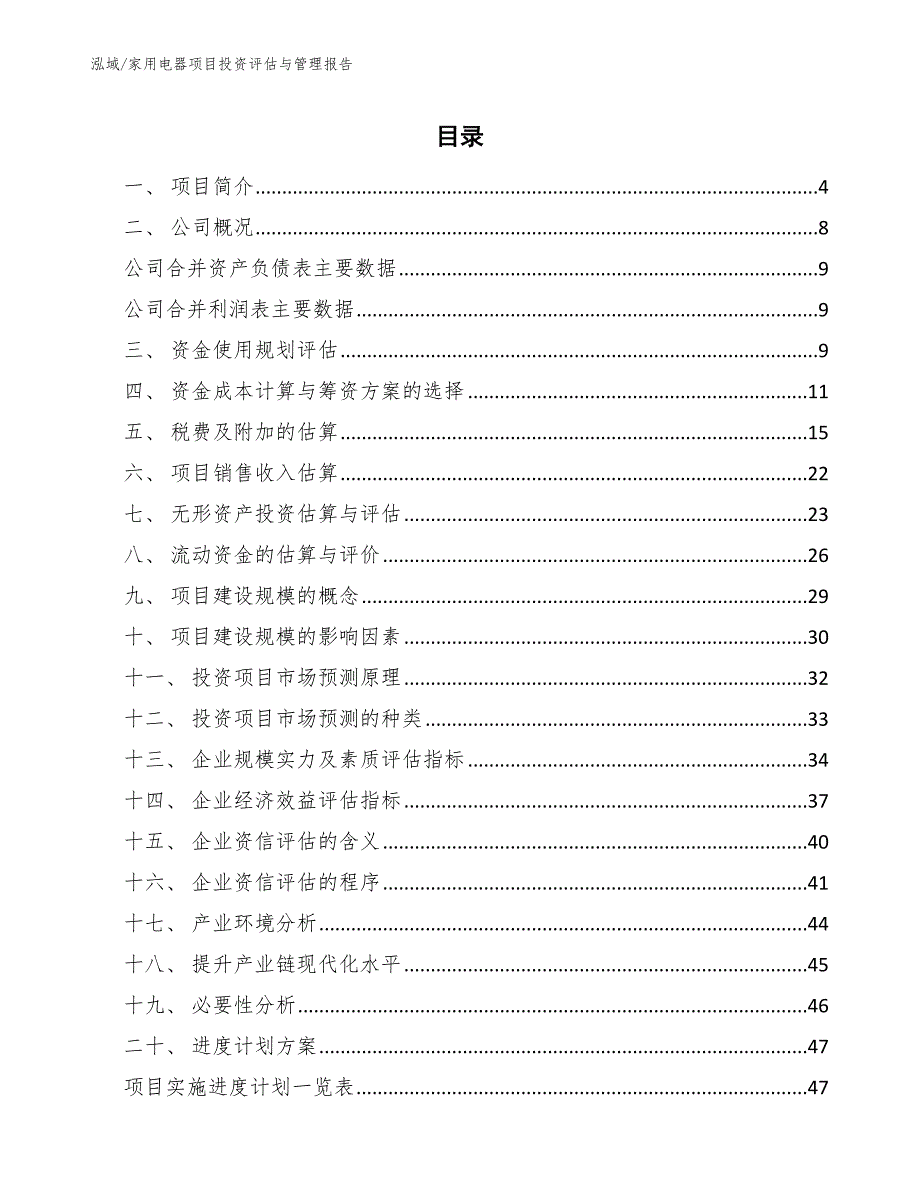 家用电器项目投资评估与管理报告（范文）_第2页