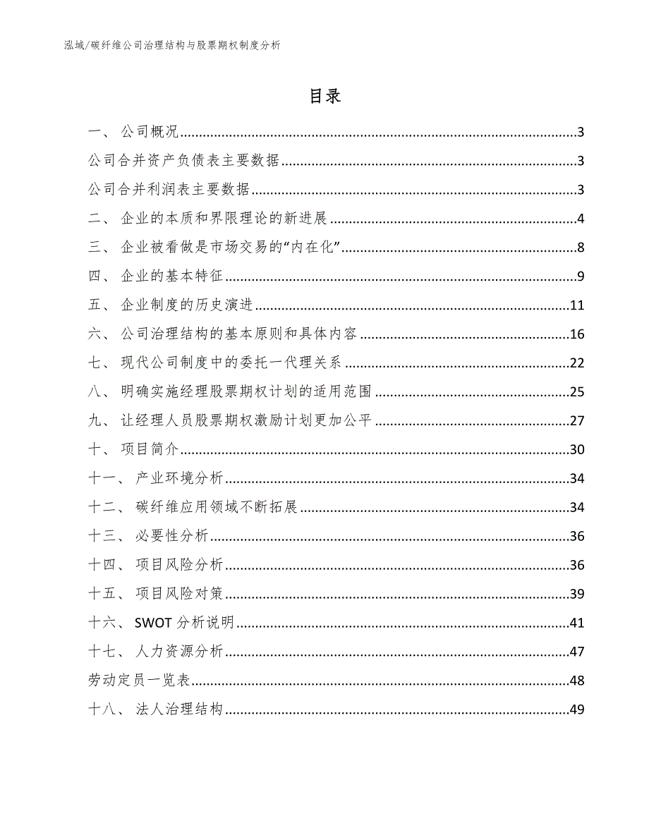 碳纤维公司治理结构与股票期权制度分析_第2页