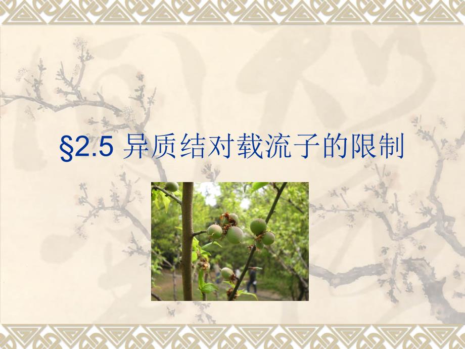 半导体光电子学课件下集2.5异质结对载流子的限制_第1页