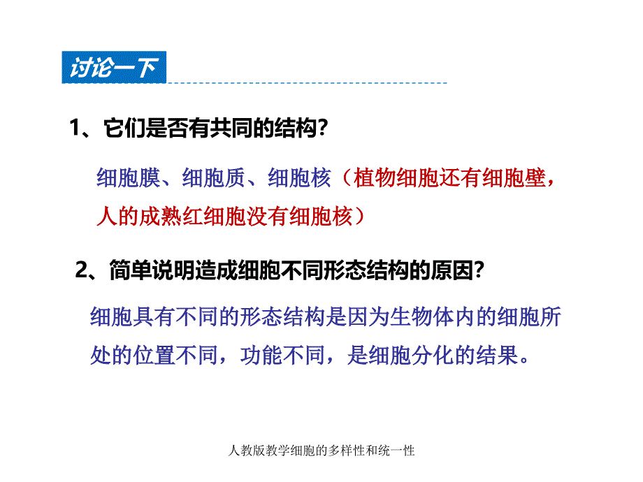 人教版教学细胞的多样性和统一性课件_第4页