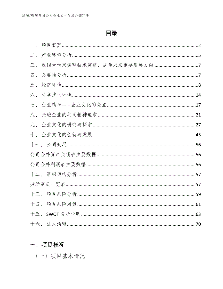 碳碳复材公司企业文化发展外部环境（参考）_第2页