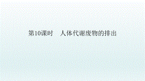 2022年中考生物总复习课件：人体代谢废物的排出