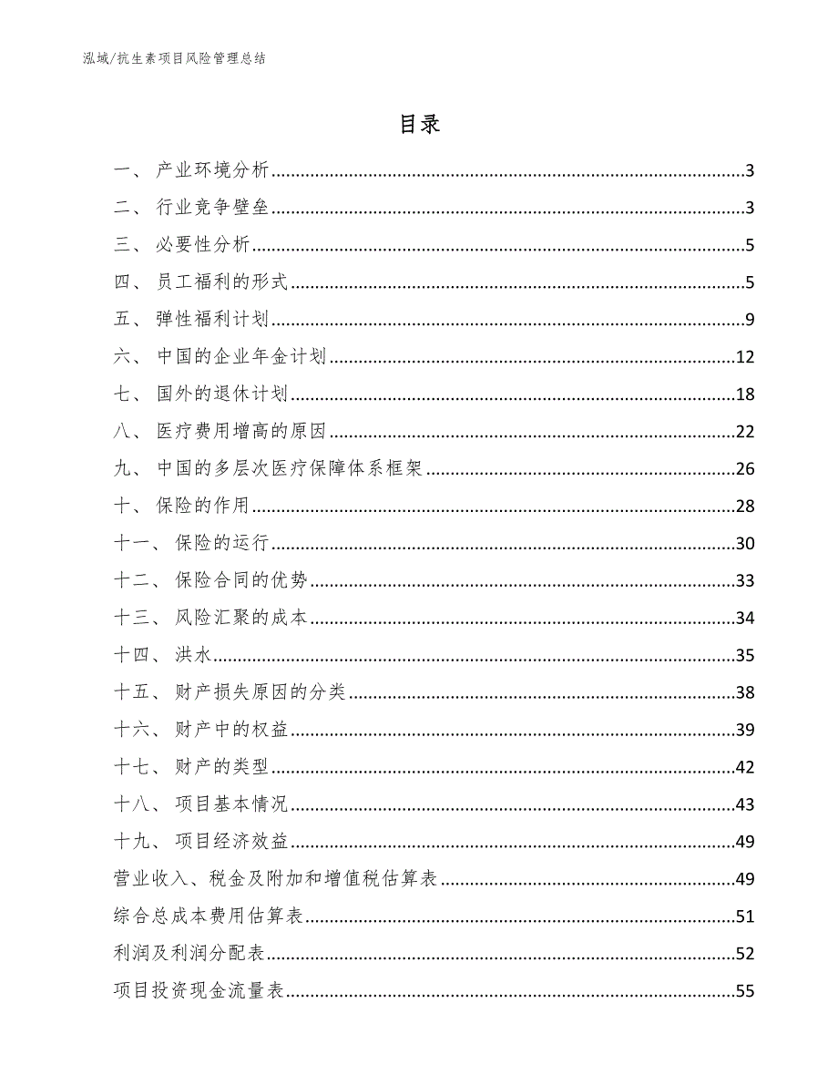 抗生素项目风险管理总结【参考】_第2页