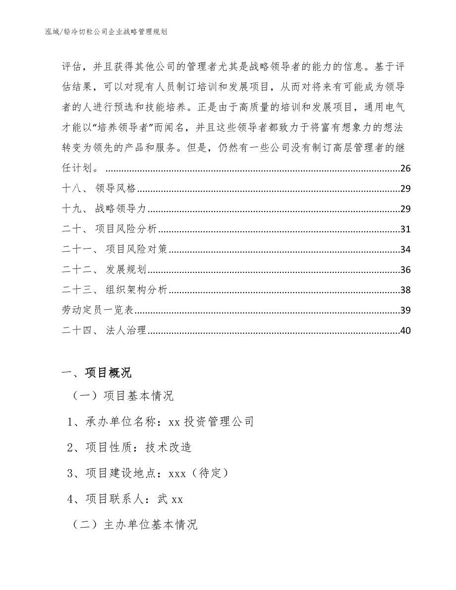 铅冷切粒公司企业战略管理规划（范文）_第2页