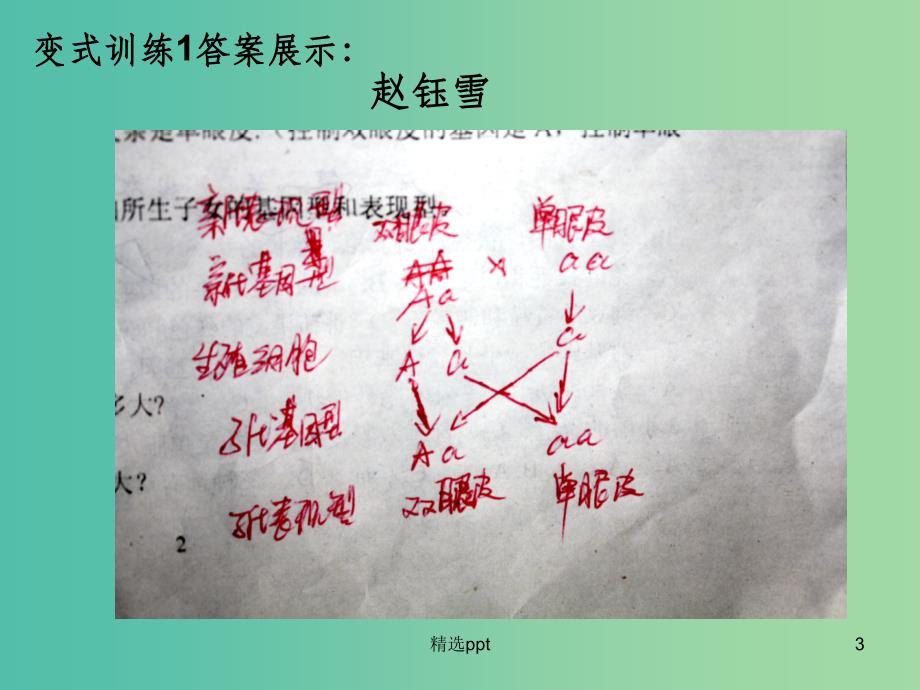 八年级生物上册4.4.3性状的遗传3课件济南版_第3页