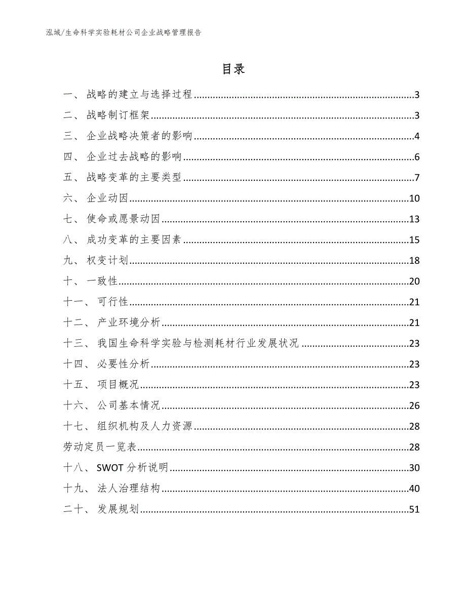 生命科学实验耗材公司企业战略管理报告（参考）_第2页