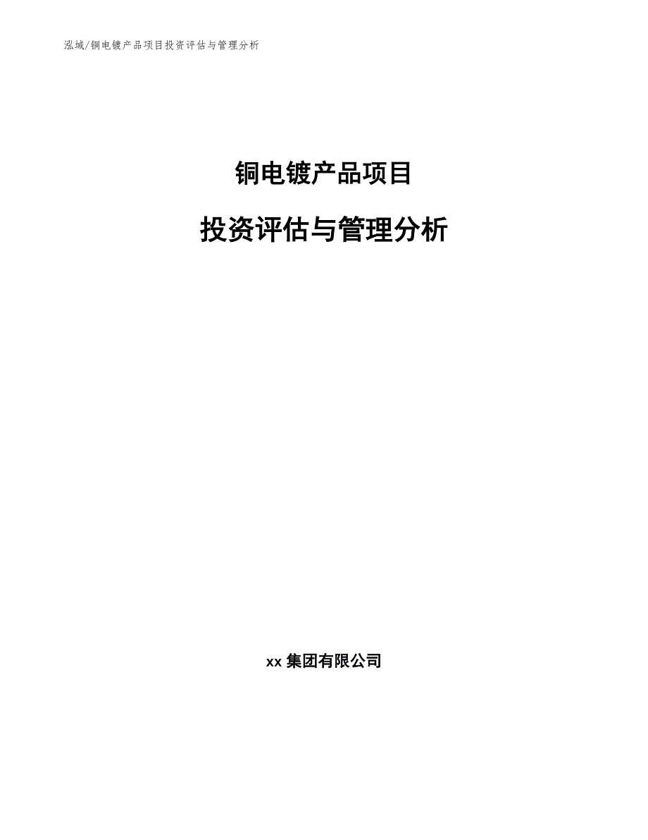 铜电镀产品项目投资评估与管理分析（参考）_第1页