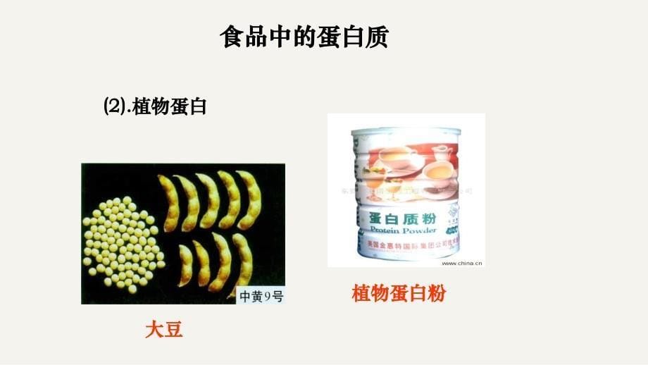 《食品营养学》第六章-蛋白质和氨基酸_第5页