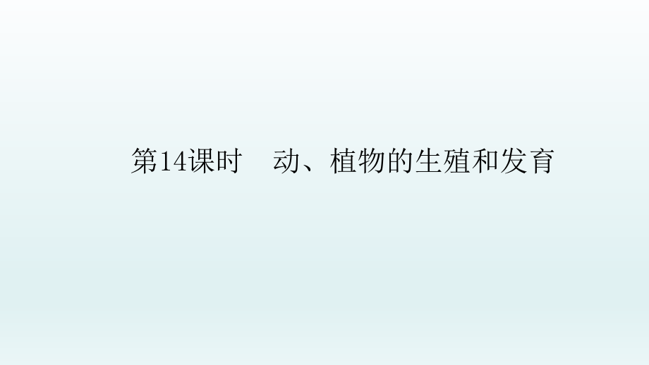 2022年中考生物总复习课件：第14课时　动、植物的生殖和发育_第1页