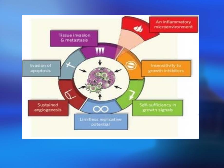 肿瘤的生物学特性ppt课件_第3页