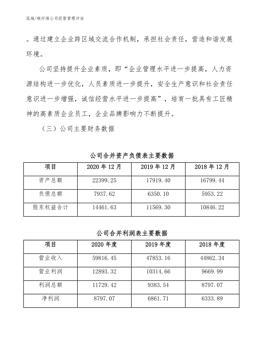 碳纤维公司经营管理评估（范文）_第3页