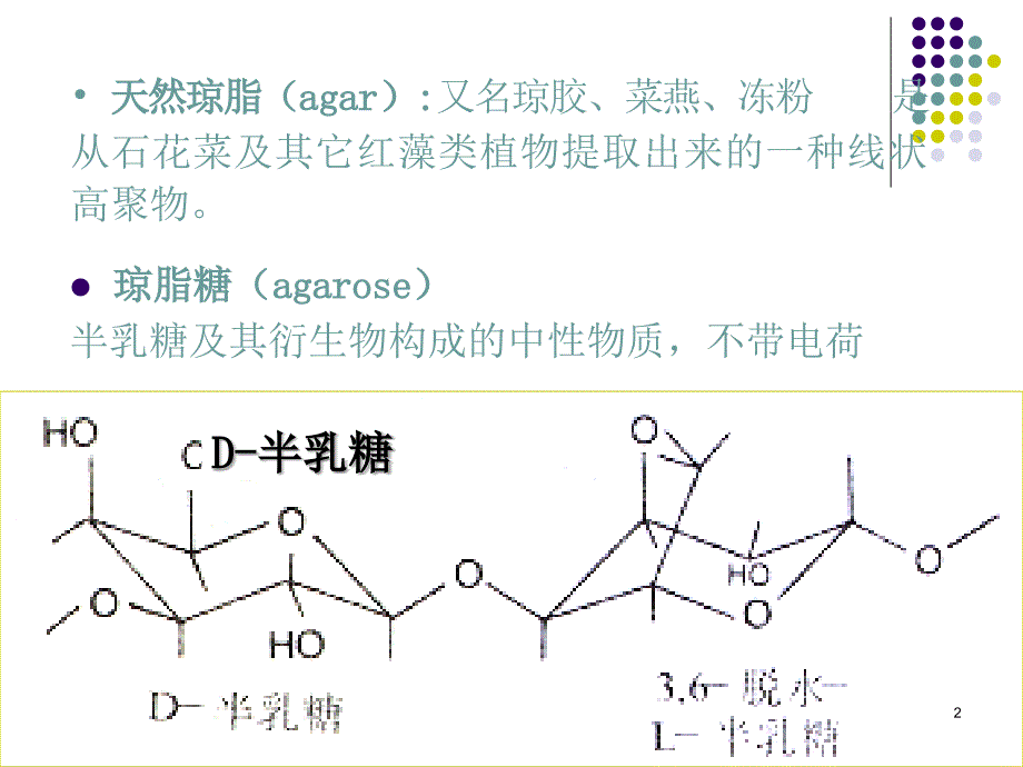 琼脂糖凝胶电泳详细过程与步骤课堂PPT_第2页