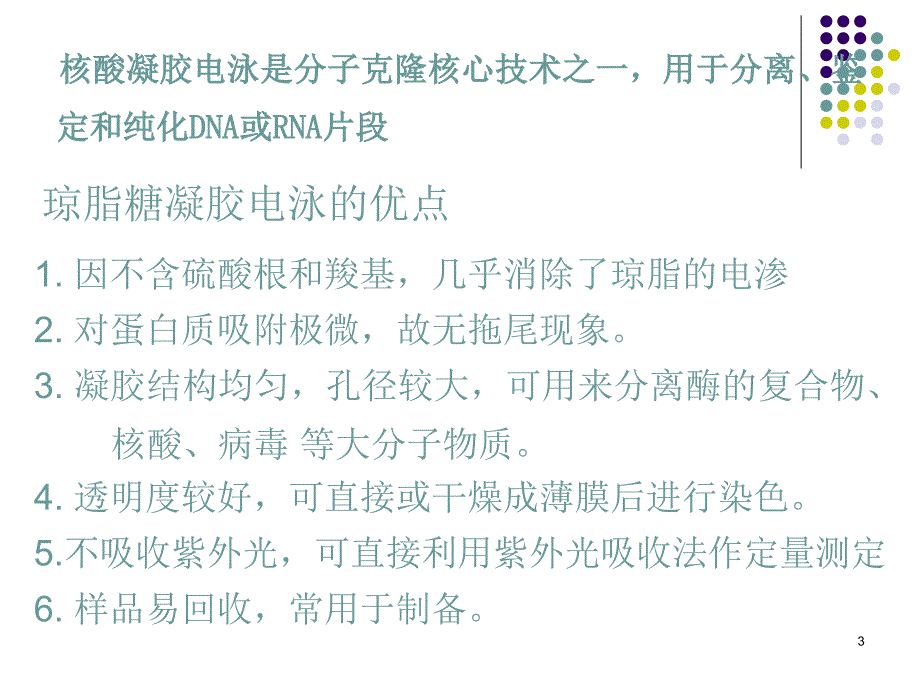 琼脂糖凝胶电泳详细过程与步骤课堂PPT_第3页