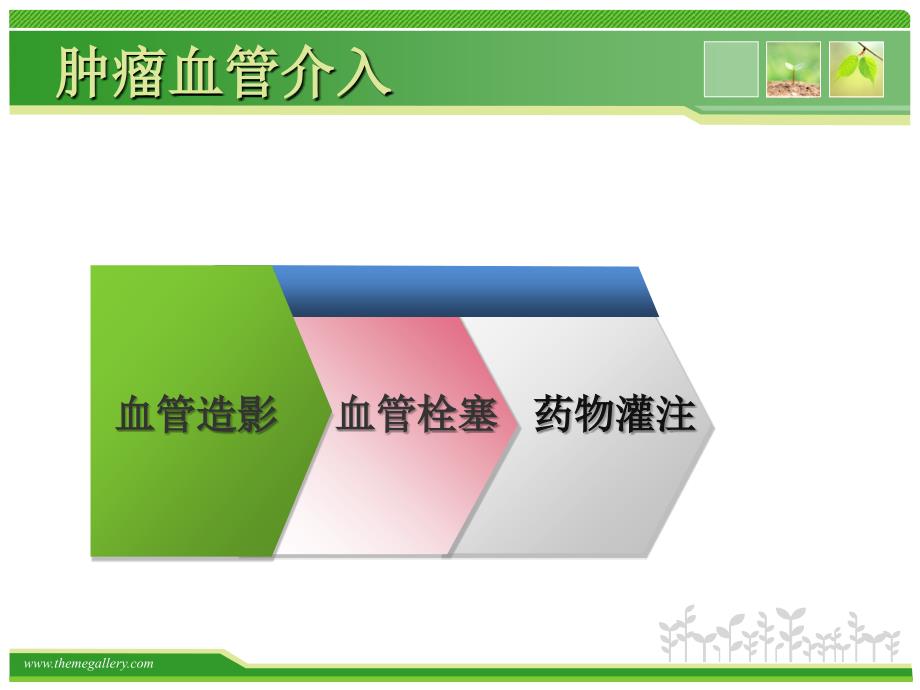 湖南省肿瘤医院介入治疗中心卢平ppt课件_第3页