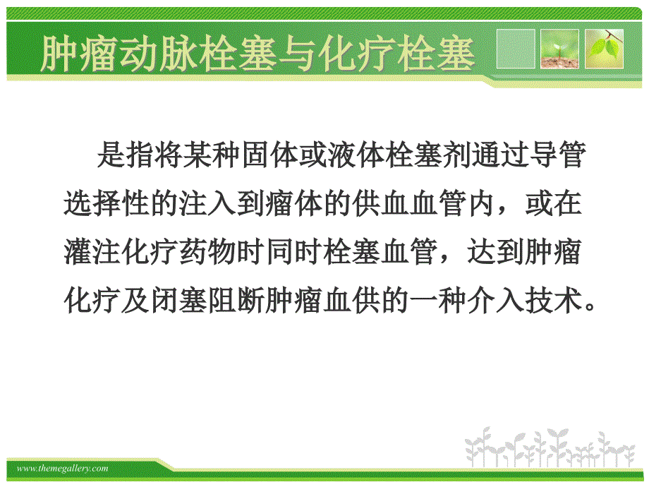 湖南省肿瘤医院介入治疗中心卢平ppt课件_第4页