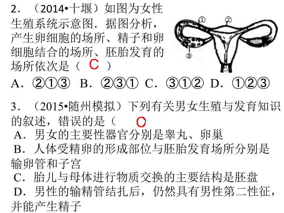 广东省中山市南头初级中学中考生物 考前冲刺专题特训六 生物圈中的人课件（考点突破+课堂检测+课后巩固） 新人教版_第3页