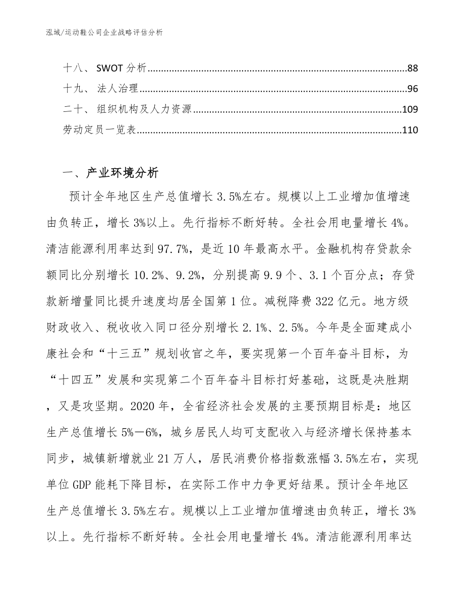 运动鞋公司企业战略评估分析（参考）_第2页