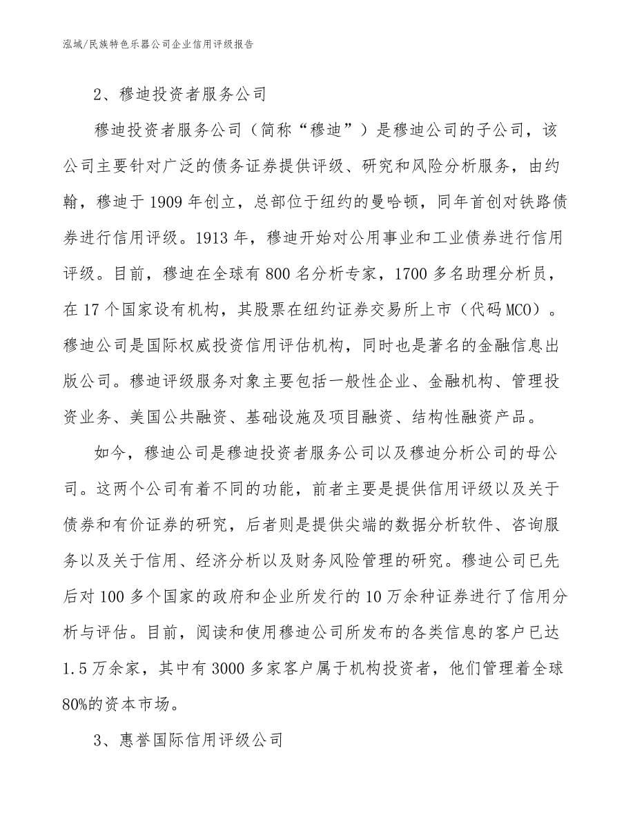 民族特色乐器公司企业信用评级报告（参考）_第5页