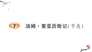 汤姆·索亚历险记（节选）学案课件