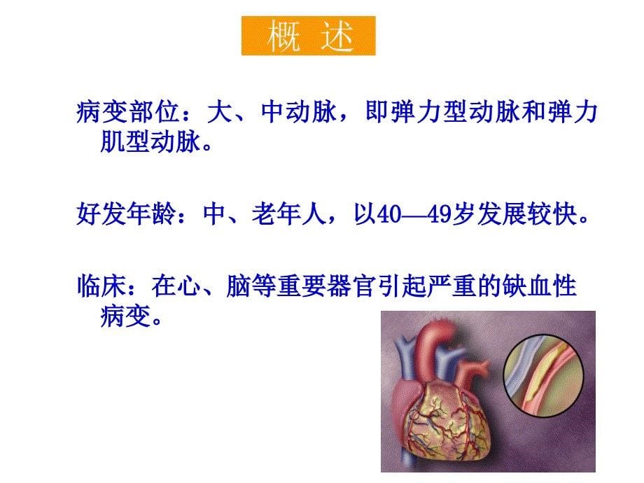 病理学课件：7.心血管系统疾病_第5页