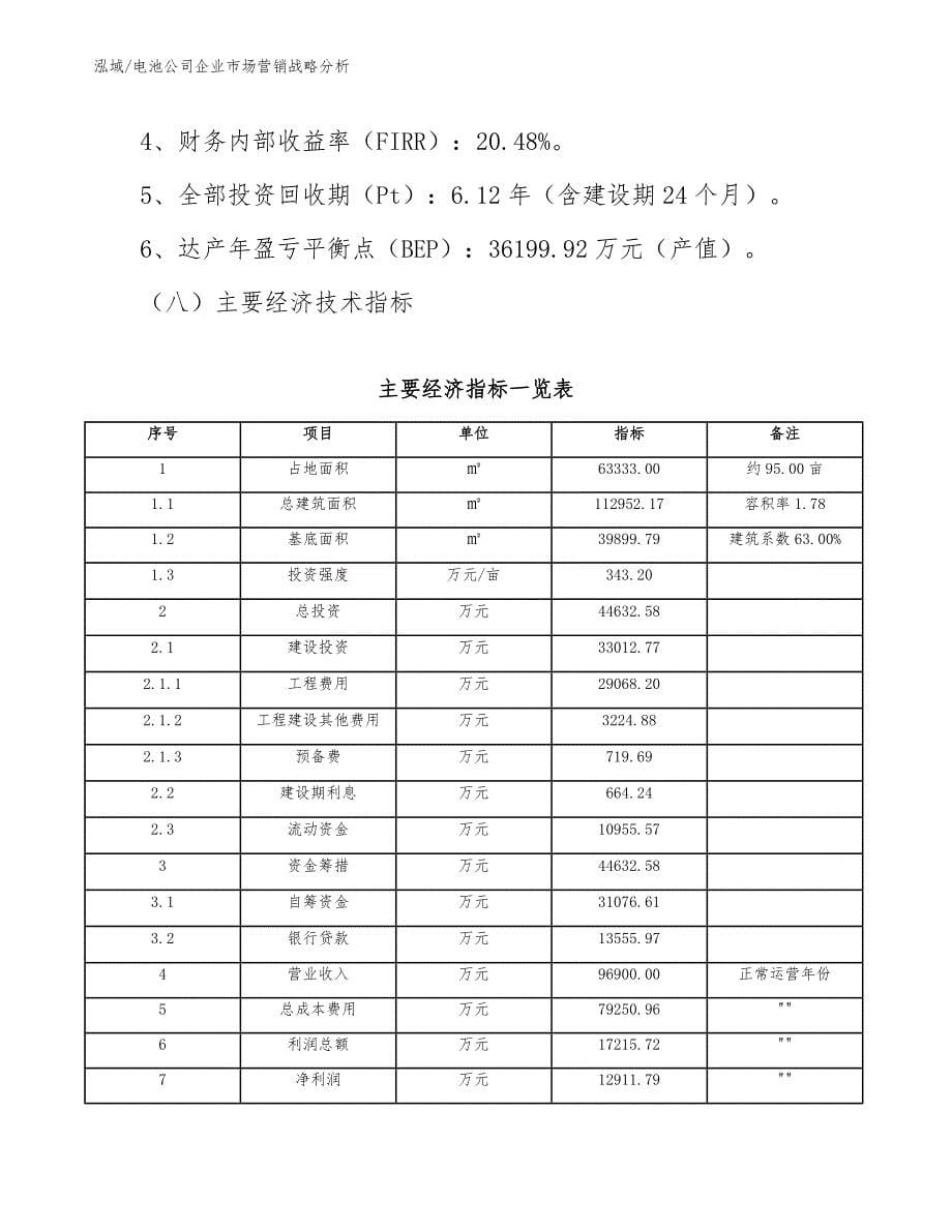 电池公司企业市场营销战略分析_第5页