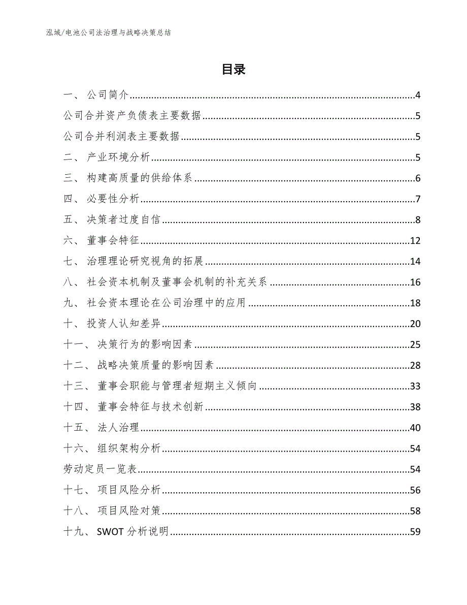 电池公司法治理与战略决策总结（范文）_第2页