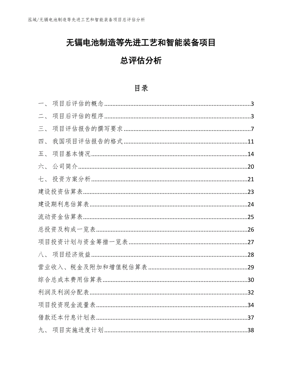 无镉电池制造等先进工艺和智能装备项目总评估分析_第1页