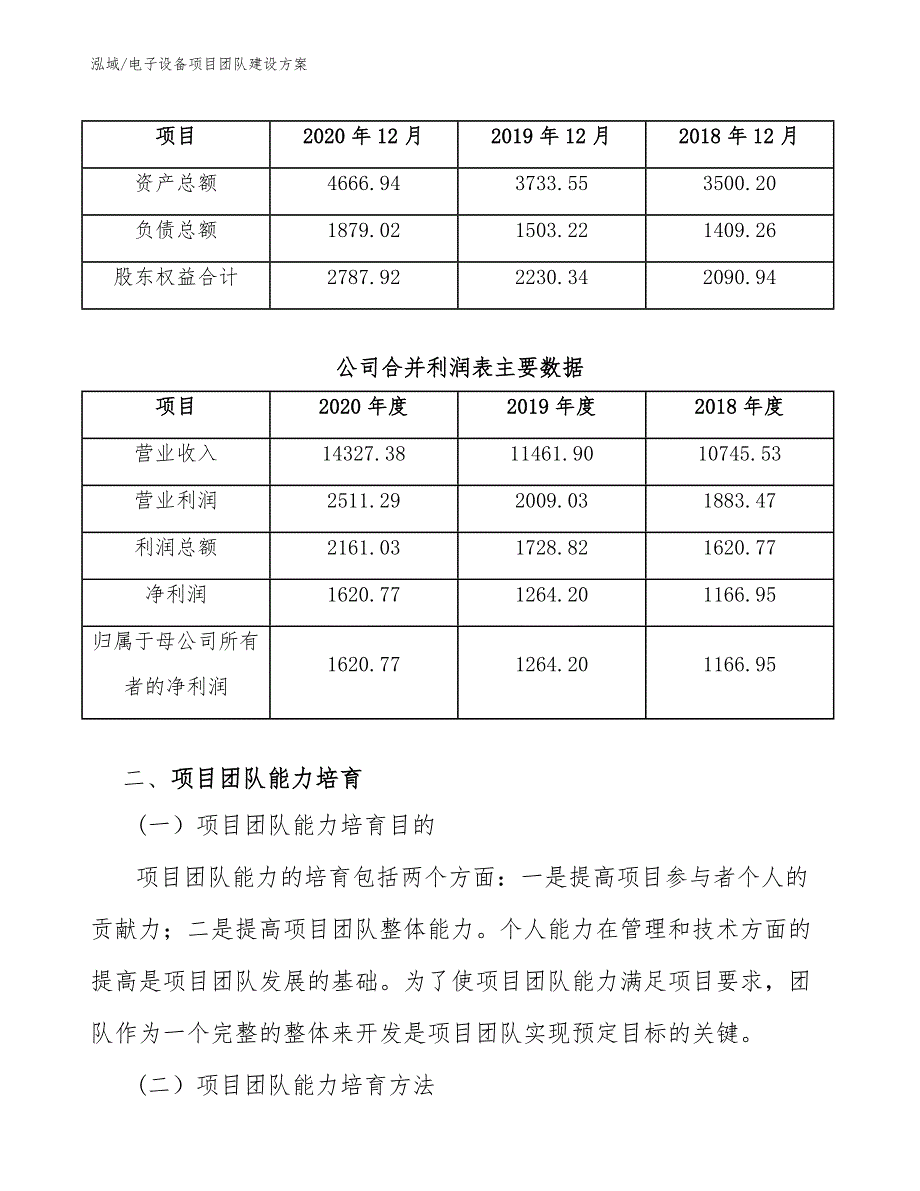 电子设备项目团队建设方案_参考_第4页