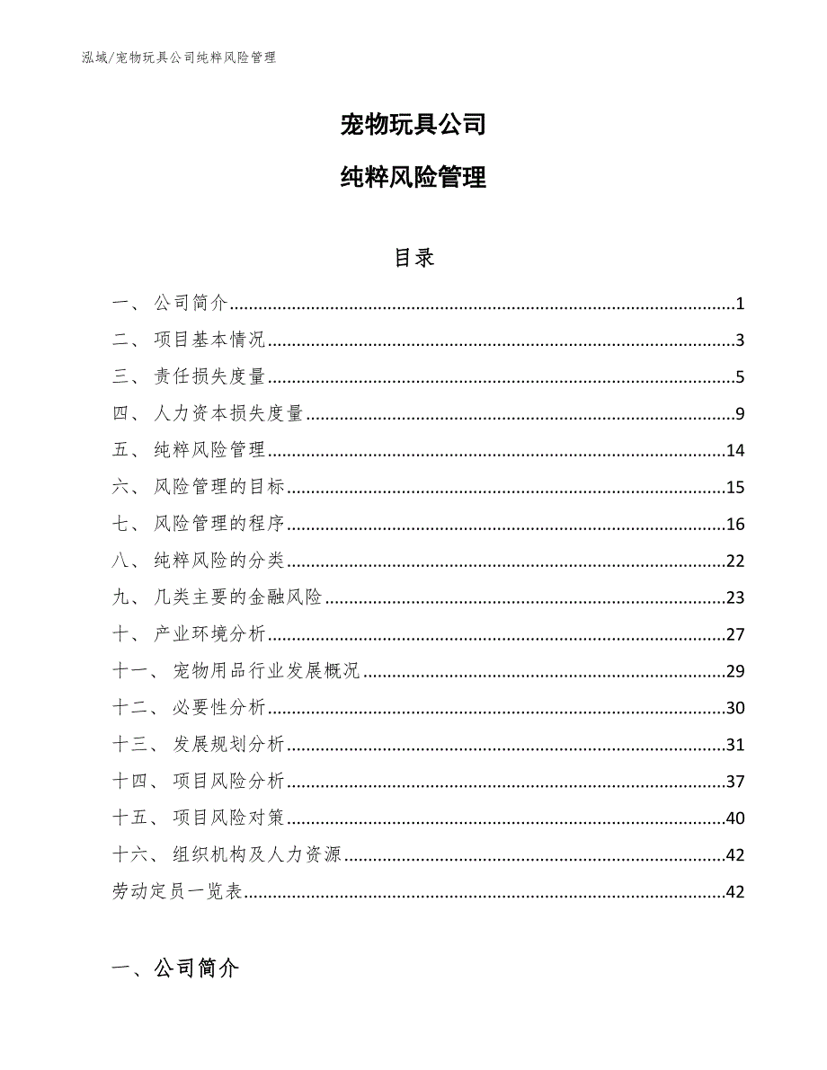 宠物玩具公司纯粹风险管理_第1页