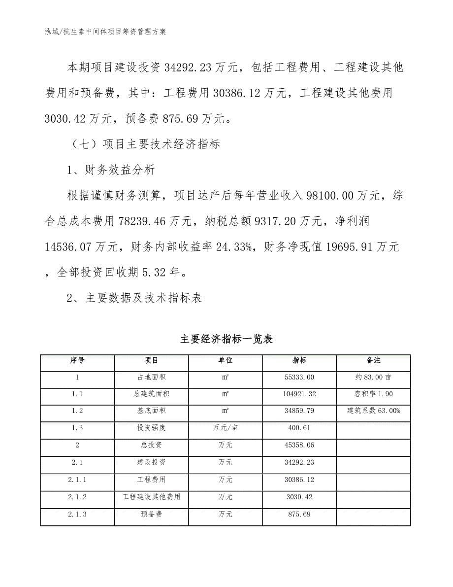 抗生素中间体项目筹资管理方案_参考_第5页