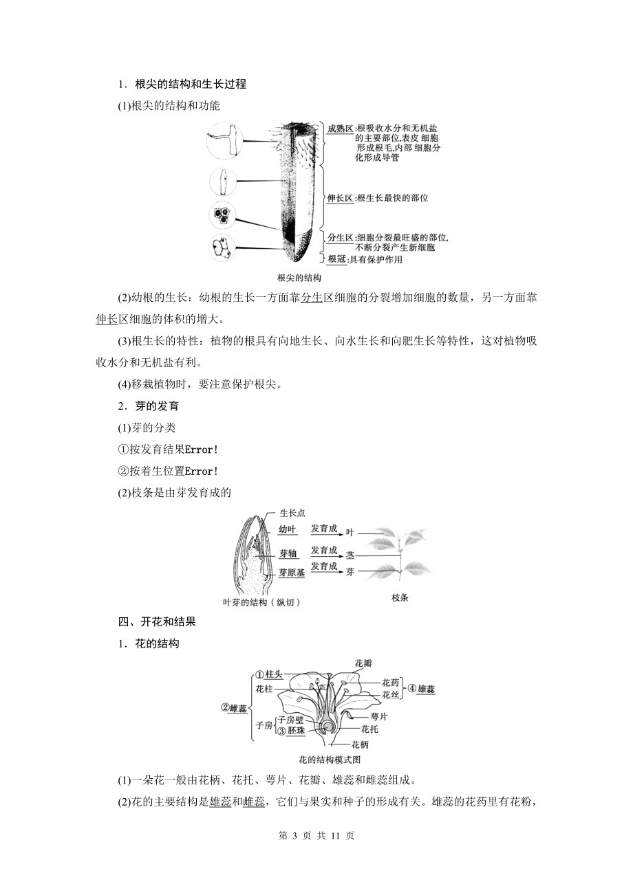2022年中考生物总复习学案：第4课时　绿色开花植物的一生_第3页