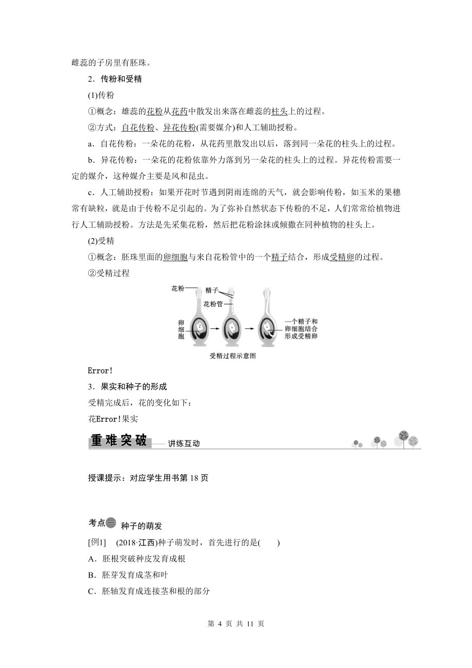 2022年中考生物总复习学案：第4课时　绿色开花植物的一生_第4页