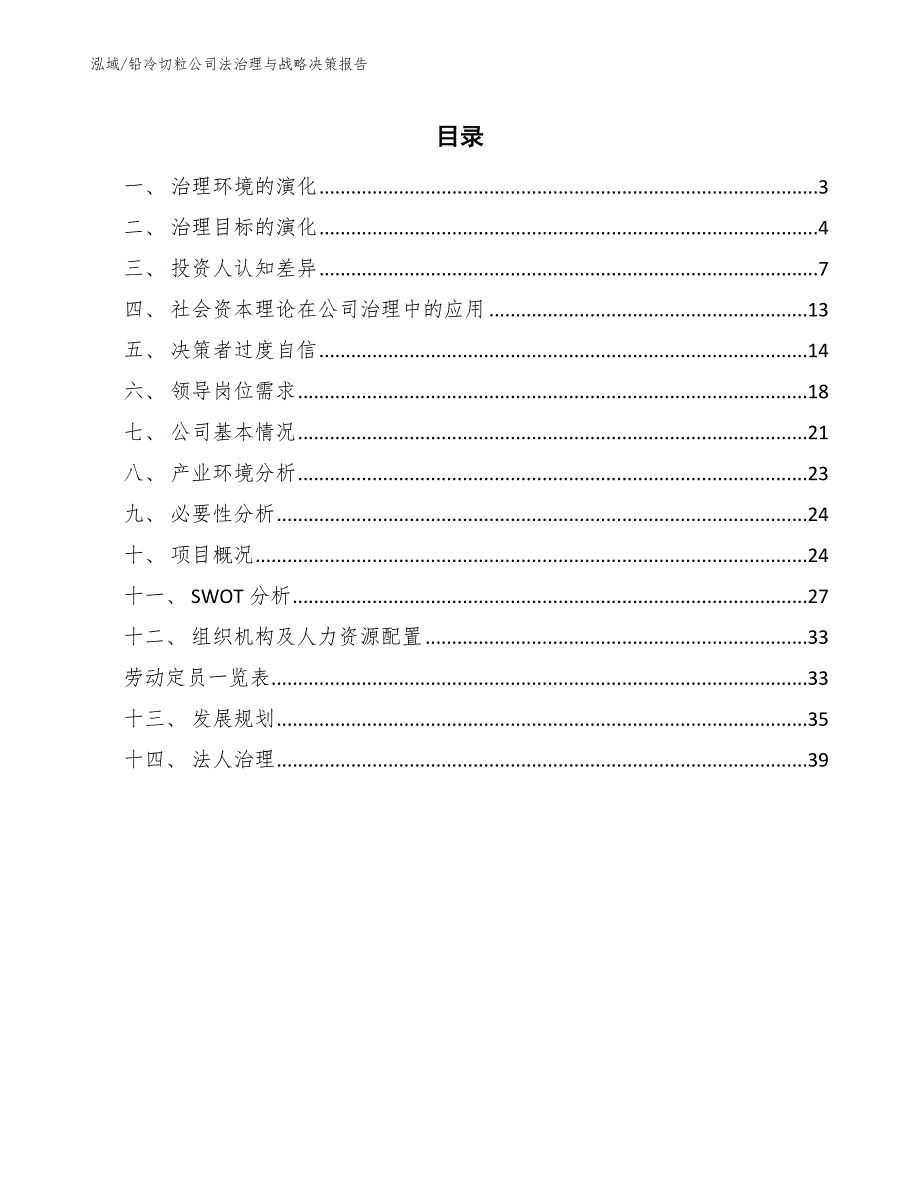 铅冷切粒公司法治理与战略决策报告_范文_第2页