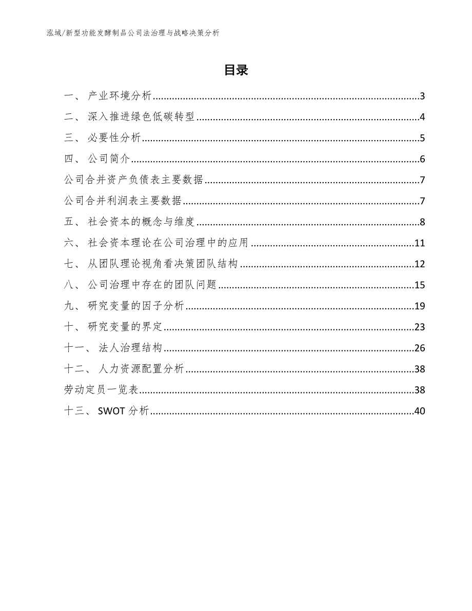 新型功能发酵制品公司法治理与战略决策分析_第2页