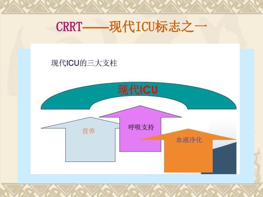 CRRT观察及并发症的处理_第5页