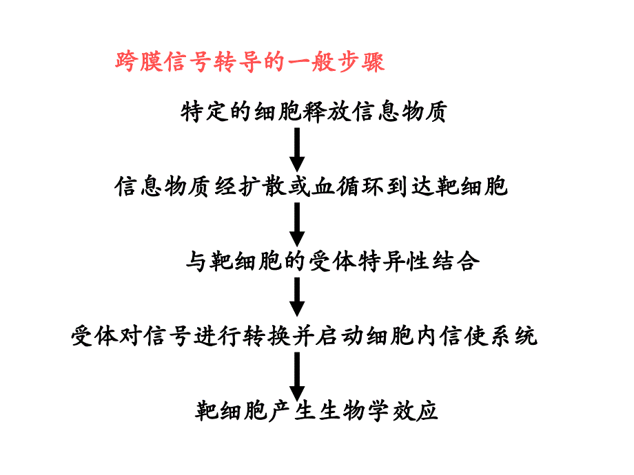 真核基因表达调控_第4页