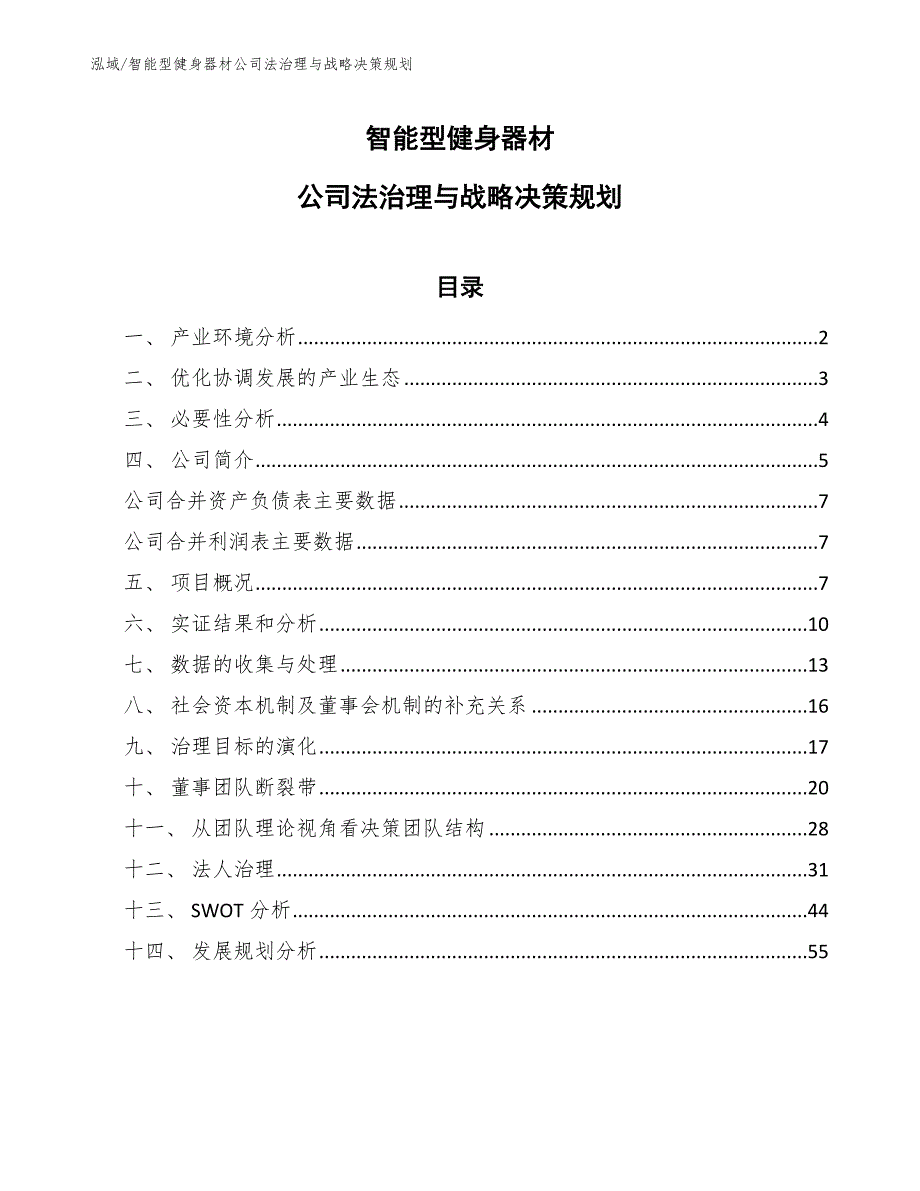 智能型健身器材公司法治理与战略决策规划_范文_第1页