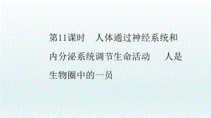 2022年中考生物总复习课件：第11课时　人体通过神经系统和内分泌系统调节生命活动人是生物圈中的一员