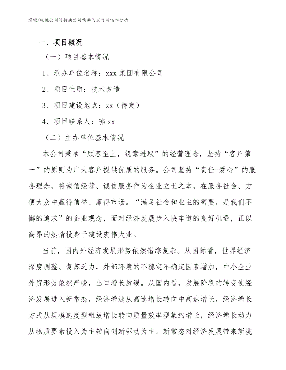 电池公司可转换公司债券的发行与运作分析_范文_第2页