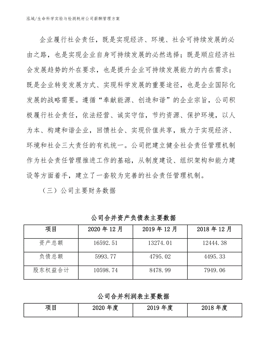 生命科学实验与检测耗材公司薪酬管理方案_第3页