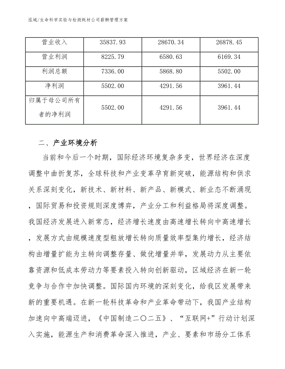 生命科学实验与检测耗材公司薪酬管理方案_第4页