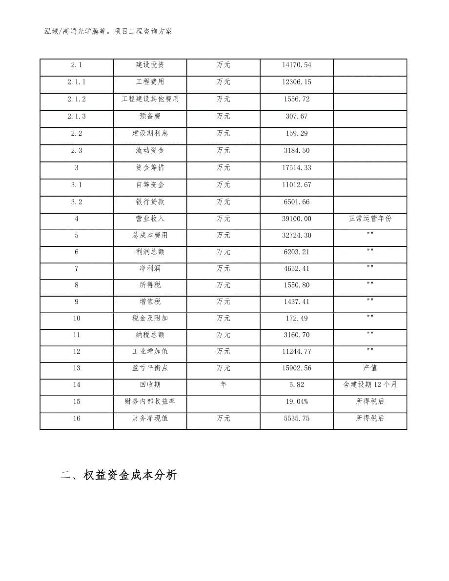 高端光学膜等项目工程咨询方案（范文）_第5页