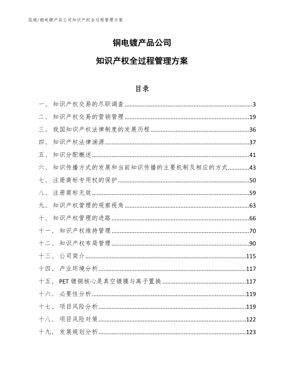 铜电镀产品公司知识产权全过程管理方案_第1页