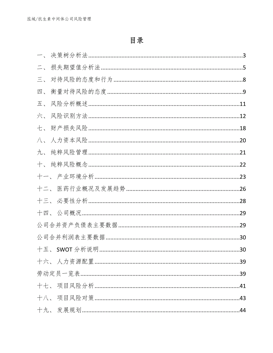 抗生素中间体公司风险管理【参考】_第2页